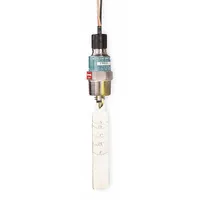 GEMS SENSORS Liquid Flow Switch: Paddle, 1 1/2 in For Pipe Size, 316 Stainless Steel, 1 in NPT, NPT (MPN FS-550, 29608)