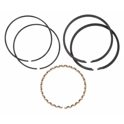 SPEEDAIRE Ring Set, Hp 10/15/30 Pumps, Cast Iron: Z797, PL15A/PL30A/RV15A/RV30A - Air Compressor Parts