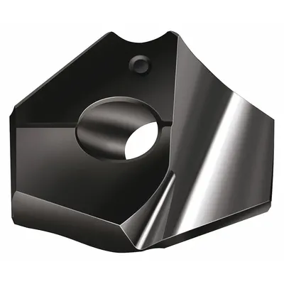WALTER Replaceable Tip Drill,P6004-D16,00RWNN25 (MPN 5656253) - Exchangeable Tips for Modular Drill Bits