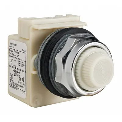 SCHNEIDER Pilot Light: 30 mm Panel Mounting Size, White, Incandescent - Incandescent Pilot-Lights