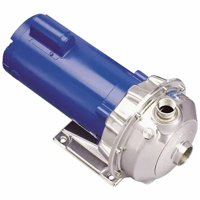 GOULDS WATER TECHNOLOGY Centrifugal Pump: 1 1/2 hp, 208-230/460V AC, 136 ft Max Head, 1 1/4 in - 1 to 1-1/2 HP Straight Centrifugal Pumps