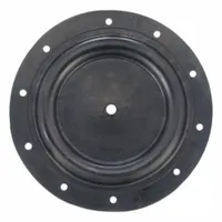 ARO Diaphragm: 97284-2