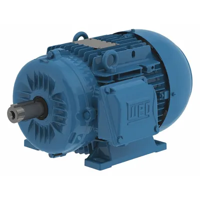 WEG Metric Motor: 10 hp, Rigid Base Mount, 160L Frame Size, Totally Enclosed Fan Cooled - Rigid Base 3-Phase IEC Metric General Purpose AC Motors