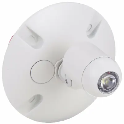 DUAL-LITE Remote Head: LED, Aluminum, Wall, 2 W Lamp Watt, 1 Lamps, 4.8 V, Adj, White - Aluminum Wet Location Remote Heads