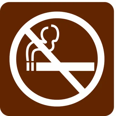 CONDOR Facility Sign: Acrylic, Adhesive Sign Mounting, 3 in x 3 in Nominal Sign Size - Square No Smoking Signs