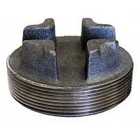 Plug: 4 in, Threaded, 300 psi @ 150° F, Plug, Cast Iron (MPN 0318903200)