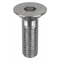 Socket Flat Head Screw: M6x1.00 Thread Size, 16 mm Lg, Flat, NL-19, Stainless Steel, 18-8, 25 PK (MPN FBMFHEADS61016P25)