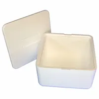 Insulated Shipping Container: 17 in x 17 in x 9 in, 1.5 in Insert Wall Thick, Cardboard, Styrofoam (MPN 250C)
