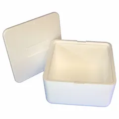 Cardboard and Styrofoam insulated shipping container with a white cardboard outer box and a 1.5 in thick Styrofoam insert. Provides thermal protection for transport of temperature-sensitive goods such as pharmaceuticals, biologics, and perishable samples.