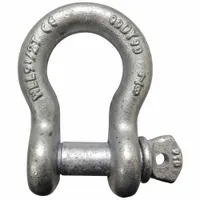 APPROVED VENDOR Anchor Shackle: Anchor Shackle, 19,000 lb Working Load Limit, Alloy Steel, Silver (MPN 55AY23)