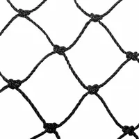 Heavy-duty bird control netting made of black polyethylene, providing 625 sq ft of coverage area. Weather-resistant for long-term outdoor use in excluding birds from industrial facilities, warehouses, and agricultural structures