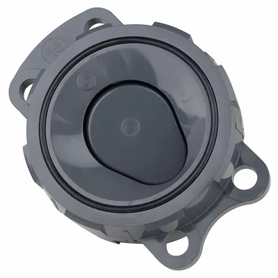 HAYWARD Wafer Check Valve: Swing, Inline Valve Body, 4 in Pipe Size, Wafer, PVC - PVC Wafer Spring-Loaded Swing Check Valves