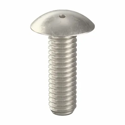 TAMPER-PRUF SCREW Tamper Resistant Screw: 5/16"-18 Thread Size, 1 in Lg, Stainless Steel - Truss Head Tamper-Resistant Machine Screws