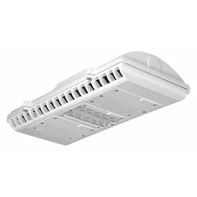 LITHONIA LIGHTING Pendant Canopy Light: LED, 4,130 lm, 4000K, 37 W Fixture Watt, 120 to 277V AC - LED Pendant Parking Garage & Canopy Lights