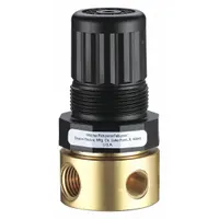 SPEEDAIRE Compressed Air Regulator: Brass, 1/4 in NPT, 15 cfm, 5 psi to 125 psi, Nonrising