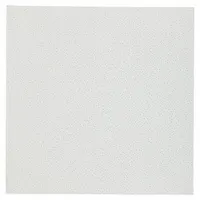 ARMSTRONG Ceiling Tile: 869B, VL, 24 in x 24 in, Square Lay-In, 15/16 in Grid Size, 0.55 NRC, 12 PK
