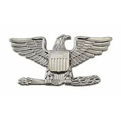 This metallic insignia features an Eagle design in silver finish. Constructed from metal, it measures 1 inch and attaches via a pin and safety catch. Typically used for uniform rank identification on military, public safety, or ceremonial attire.