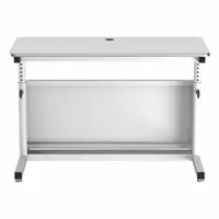 VERSADESK Standing Desk: White, Wood, 48 in Overall Wd, 24 in Overall Dp, 36 in Max Desktop Ht (MPN CTL4824-WW)