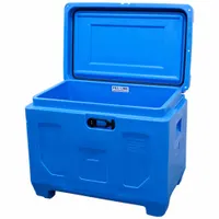 Insulated Shipping Container: 17 in x 16 1/2 in x 16 3/8 in, 2.25 in Insert Wall Thick, Gray (MPN 303)