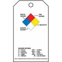 Rectangular polyester safety tag for indoor/outdoor use. Measures 5 3/4 in height by 3 in width, 0.01 in thickness. Not laminated. Includes 25 nylon ties. Printed in English. Pack of 25