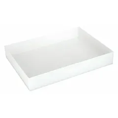 Rectangular Lab Tray, Polypropylene, 14.75 L, 15 in L x 20 in W