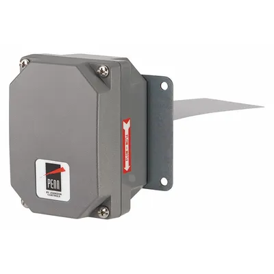 JOHNSON CONTROLS Flow Switch: Paddle, 1 in/2 in/3 in/6 in For Pipe Size, Stainless Steel - Insertion-Style Switches for Liquids