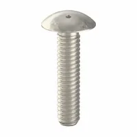 Tamper Resistant Screw: #8-32 Thread Size, 3/4 in Lg, Stainless Steel, Plain, Truss, Spanner, 10 PK (MPN 6000820)