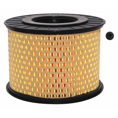BALDWIN FILTERS PA4902 Round/Oval Engine Air Filter - Round/Oval Engine Air Filters