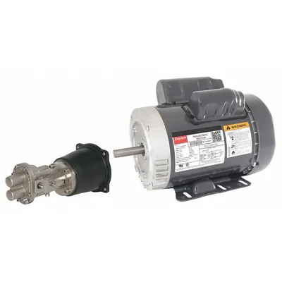 Dayton Rotary Gear Pump: Direct Drive, 1 hp Horsepower, 115/230V AC, 316 Stainless Steel Body - Direct-Drive Rotary Gear Pumps