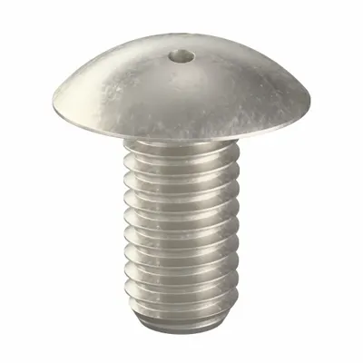 TAMPER-PRUF SCREW Tamper Resistant Screw: 3/8"-16 Thread Size, 3/4 in Lg, Stainless Steel - Truss Head Tamper-Resistant Machine Screws