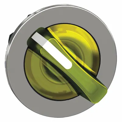 SCHNEIDER Short-Handled Selector Switch: 30 mm Panel Mount Size, 2 Positions - Illuminated Selector-Switch Operators