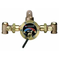Thermostatic mixing valve for blending steam and cold water to a controlled outlet temperature. Features NBR seal material and 1 in x 1 1/4 in connection size. Used in industrial process heating and washdown systems.