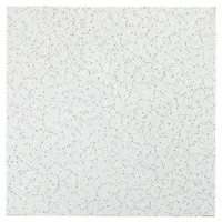 ARMSTRONG Ceiling Tile: 770, Cortega, 24 in x 24 in, Square Lay-In, 15/16 in Grid Size, 16 PK