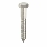 Hex Head Lag Screw: 3/8 in Size, 2 1/2 in Lg, Stainless Steel, NL-19, 10 PK (MPN FBLB3825P10)