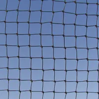 BIRD BARRIER Bird Repellent Netting: Bird Repellent Netting, Heavy, 100 sq ft Coverage Area, Bats (MPN N8-B100)