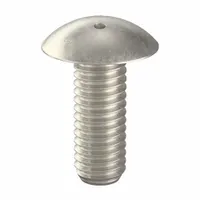 Tamper Resistant Screw: 3/8"-16 Thread Size, 1 in Lg, Stainless Steel, Plain, Truss, Spanner, 10 PK (MPN 6002580)