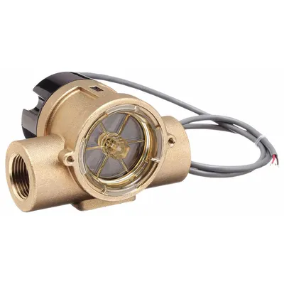 GEMS SENSORS Flow Indicator: Rotor, 316 Stainless Steel, 1 in FNPT, 1 in Connection Size - Flow Sights with Remote Output
