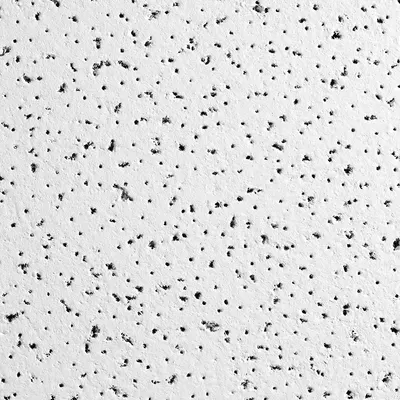 ARMSTRONG Ceiling Tile: 1733A, Fine Fissured, 24 in x 48 in, Angled Tegular, 0.55 NRC - General Purpose Tiles