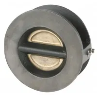 SSI Double Disc Check Valve: Double Disc, Inline Valve Body, 3 in Pipe Size, Wafer, Wafer, Wafer (MPN 0300-600WTTTM-T)