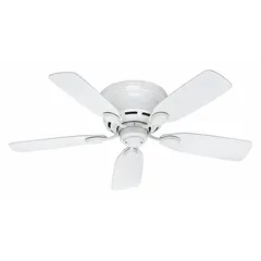 This HUNTER ceiling fan from the Low Profile IV series is designed for decorative office and low-clearance spaces. It features a 42-inch blade diameter, three speeds, and a galvanized material construction. The fan does not include a light kit, making it suitable for environments where integrated lighting is not required.