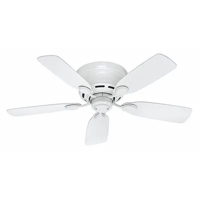 HUNTER Ceiling Fan: 42 in Blade Dia, 3 Speeds - Decorative Office Ceiling Fans