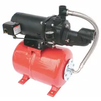DAYTON Shallow Well Jet Pump System: 3/4 hp HP, Single Phase, 115/230V AC, No Ejector Included (MPN 5UXK9)