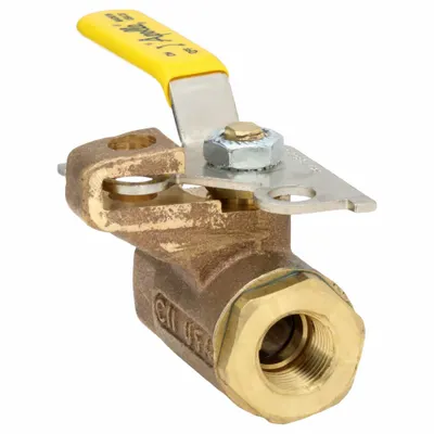 APOLLO Manual Two-Way Ball Valve: 3/8 in, Bronze, Straight, FNPT x FNPT - Bronze Ball Valves with Drain