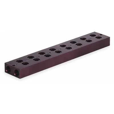 NUMATICS Manifold Assembly: For Series L01, 8 Valve Ports, 1/4 in - Aventics L01 Manifolds & Bases