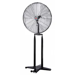 Industrial pedestal fan with 30-inch blade diameter. Single-phase, 120V AC motor rated at 1/4 hp. Two-speed operation. Non-oscillating design provides directed airflow for ventilation or cooling in industrial settings.