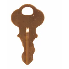 Set of two nickel keys with a gold color finish, each 1 1/2 in overall length. Designed for use with STI-6403 alarm and wall fixture covers. Provides secure access for maintenance or resetting of protected devices in industrial or commercial safety systems.