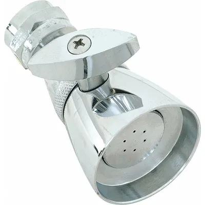 EZ-FLO Fixed Showerhead: 2 gpm Fixed Showerhead Flow Rate, Brass, Chrome Finish - Single-Pattern Fixed Showerheads