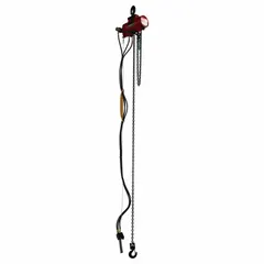 Hook-mounted air hoist with 250 lb lifting capacity and 10 ft lift length. Features swivel hook with safety latch and NPT connections. Suitable for fixed-point lifting in industrial settings where mobility is not required.