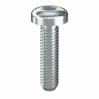 TAMPER-PRUF SCREW Machine Screw: #10-32 Thread Size, 3/4 in Lg, Steel, Zinc-Plated, Pan, Torx/Star - Pan Head Machine Screws