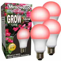 This A21-shaped LED grow bulb operates on 120V with a red spectrum tailored for fruiting stages of plant development. It provides a 150W incandescent watt equivalency, making it suitable for indoor horticulture, greenhouses, and controlled-environment agriculture where supplemental lighting for flowering and fruit production is required.